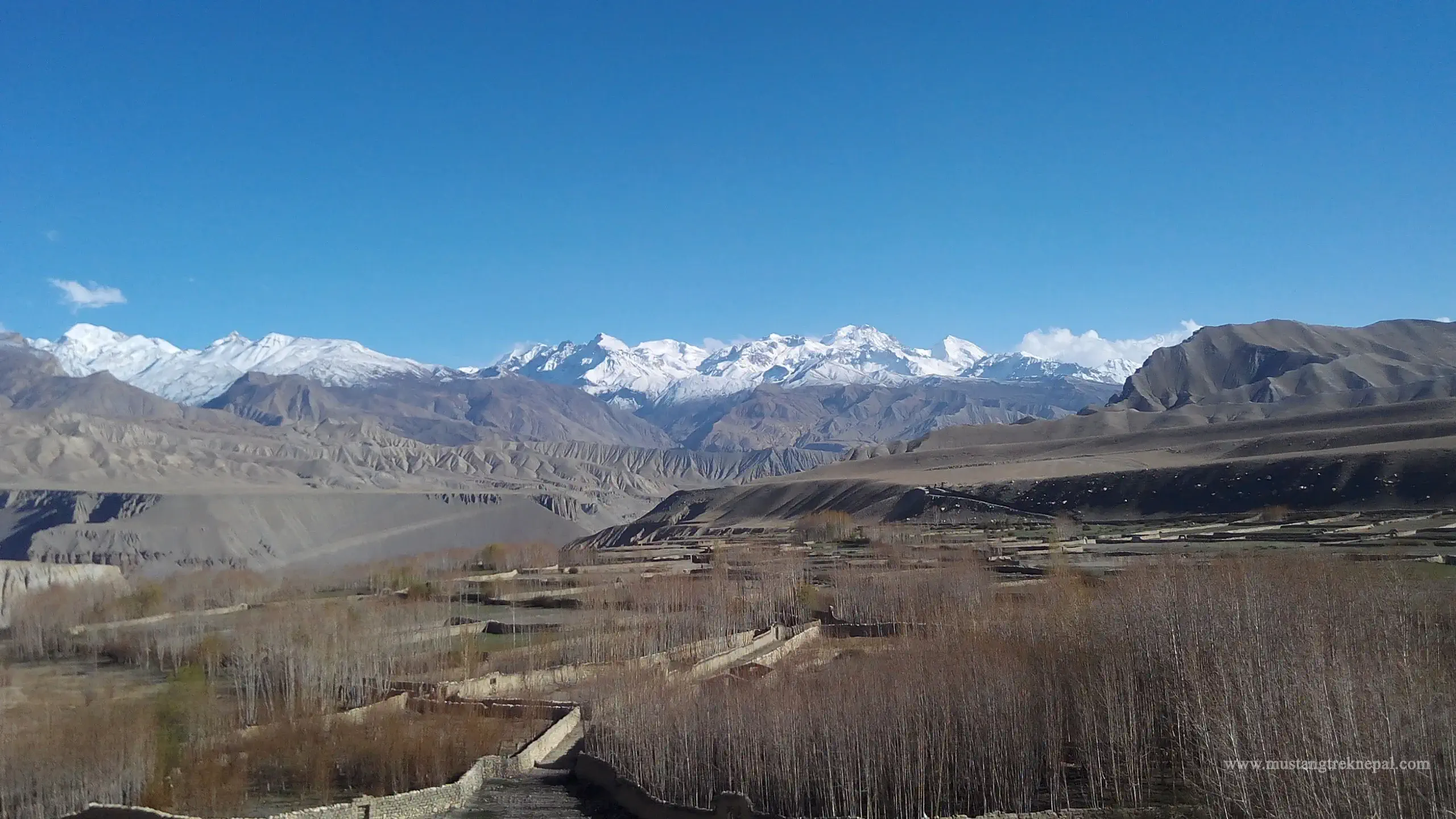 Jomsom to Lo Manthang trek by horse riding trip to Mustang