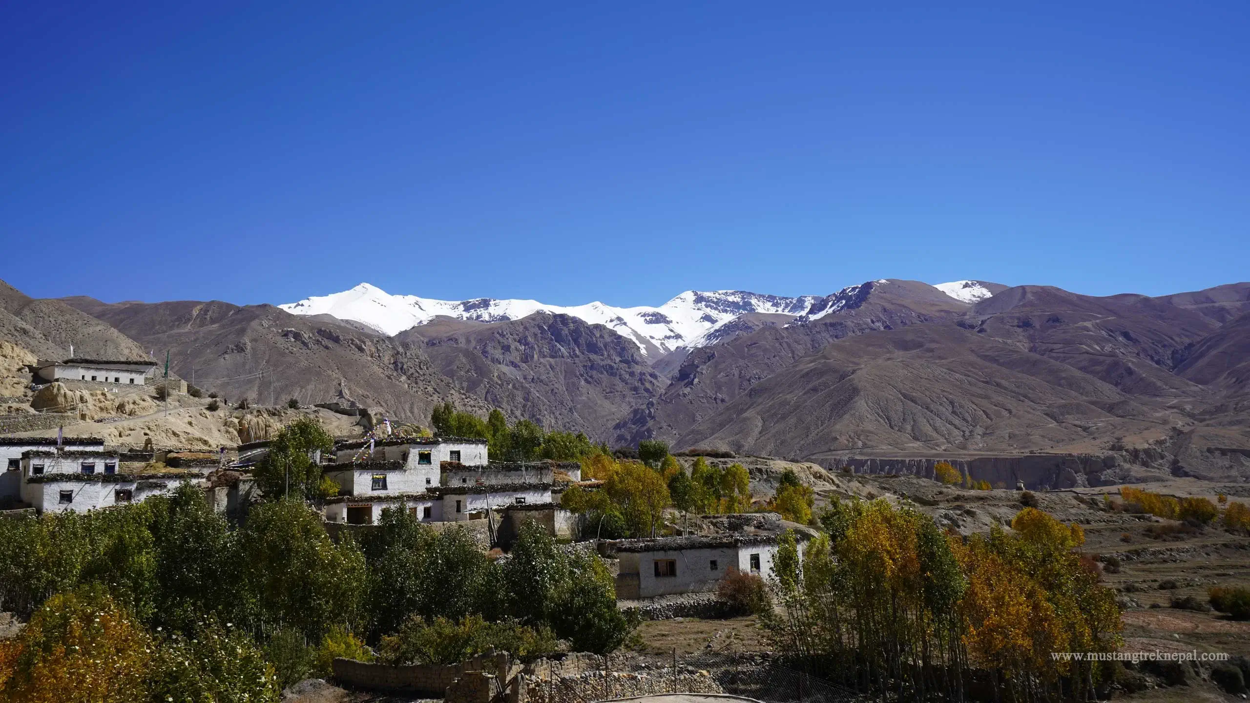 Mustang Teri la pass trek via Nar Phu valley