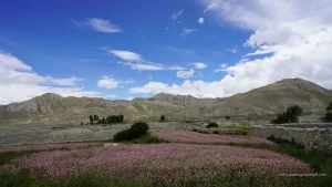 Upper Mustang helicopter tour
