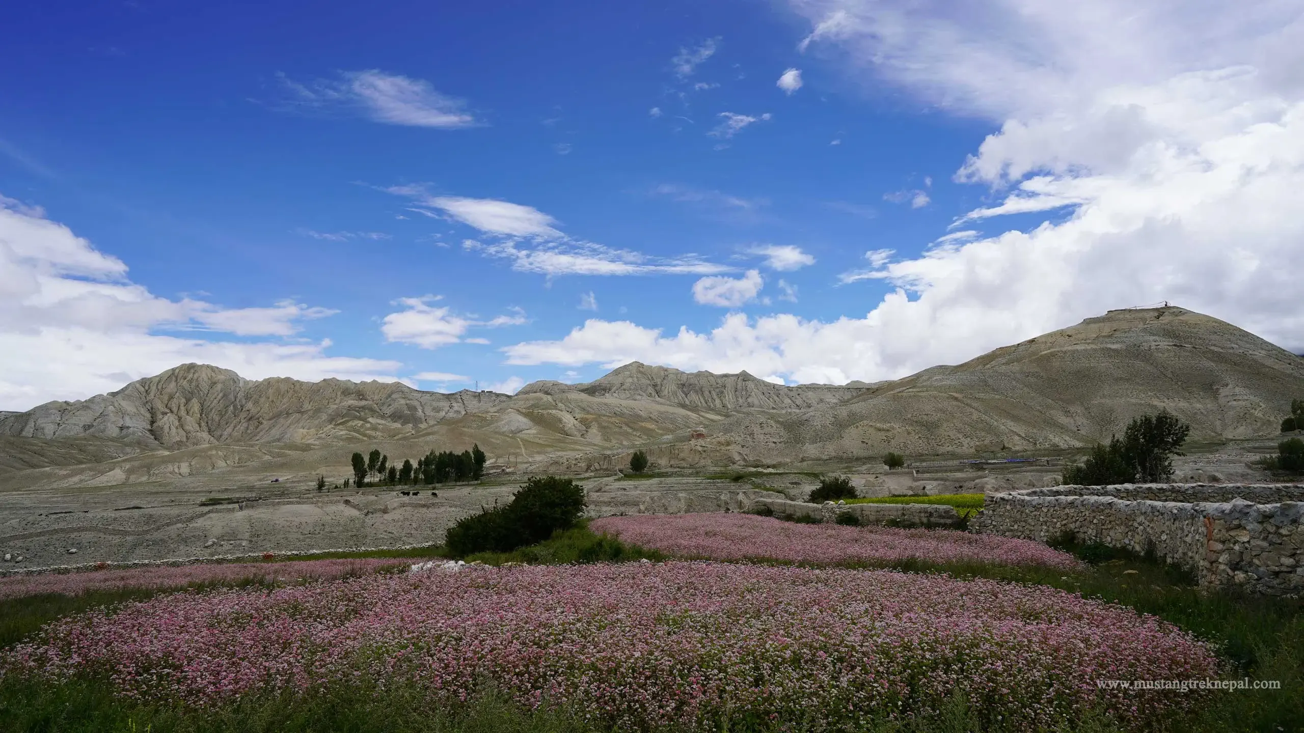 Upper Mustang helicopter tour to discover Lo Manthang