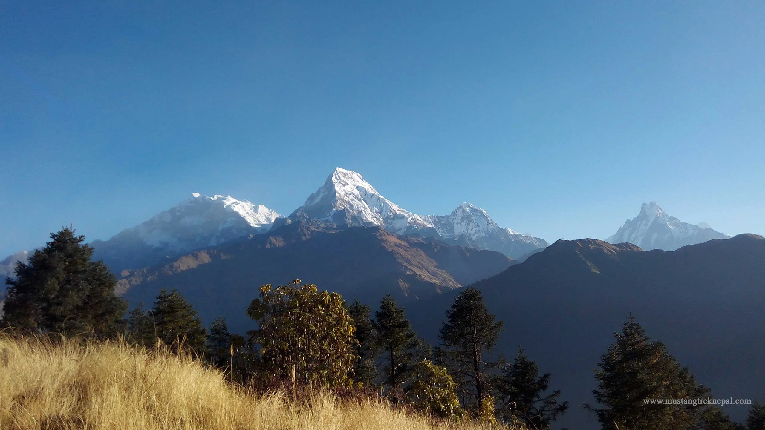 Pokhara to Ghorepani poon hill trek 5 days visit Poon hill Nepal