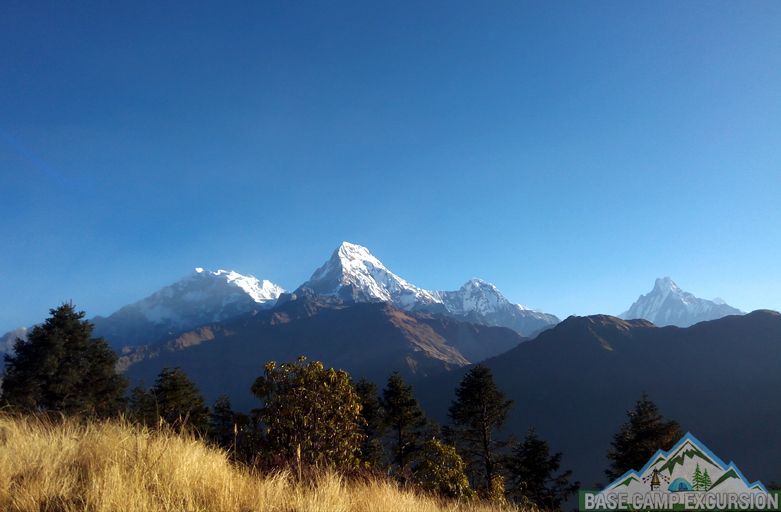 Pokhara to Ghorepani poon hill trek 5 days enjoy Poon hill trek Nepal