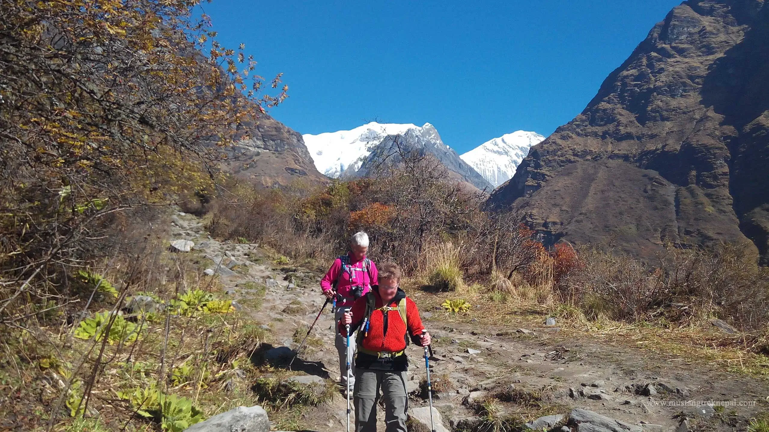 Annapurna base camp to bamboo distance the long trek in Annapurna