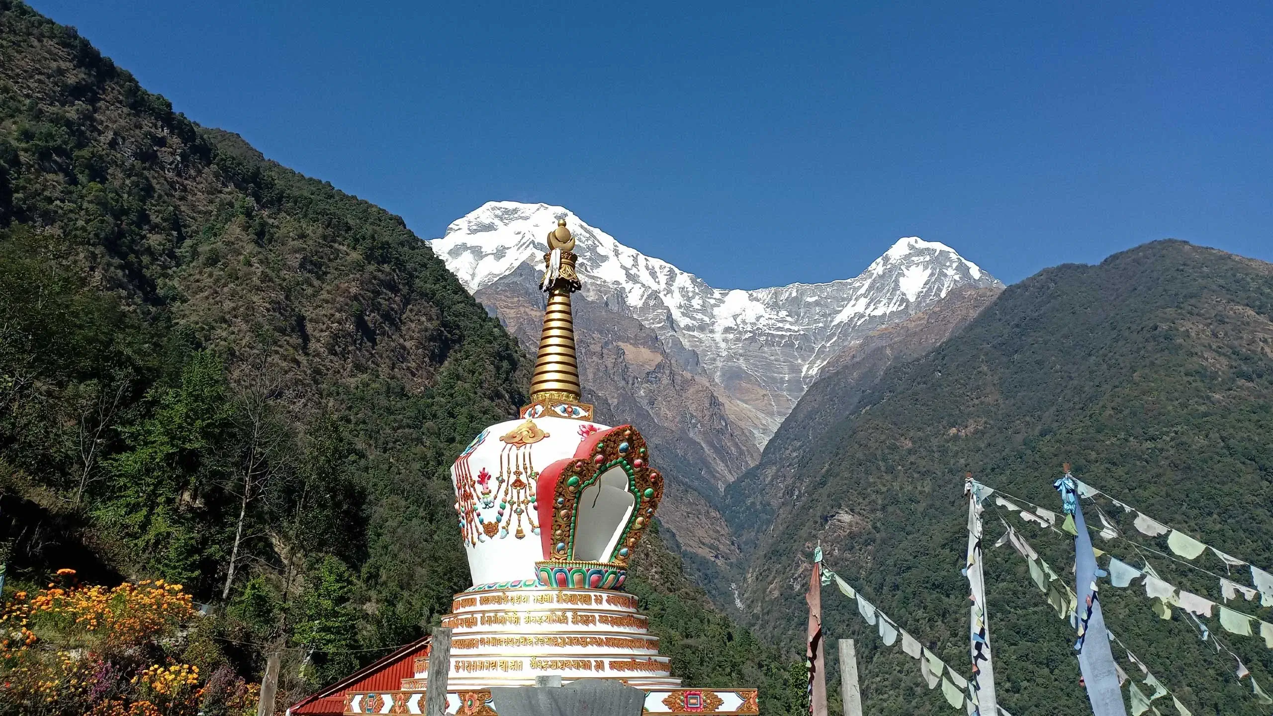 Chhomrong to Dovan trek distance & elevation with ABC trek time