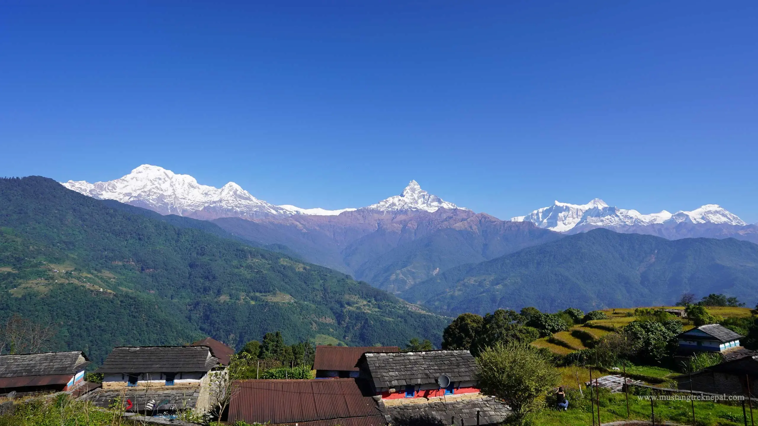 Phedi to Dhampus trek map with Pokhara to Phedi distance