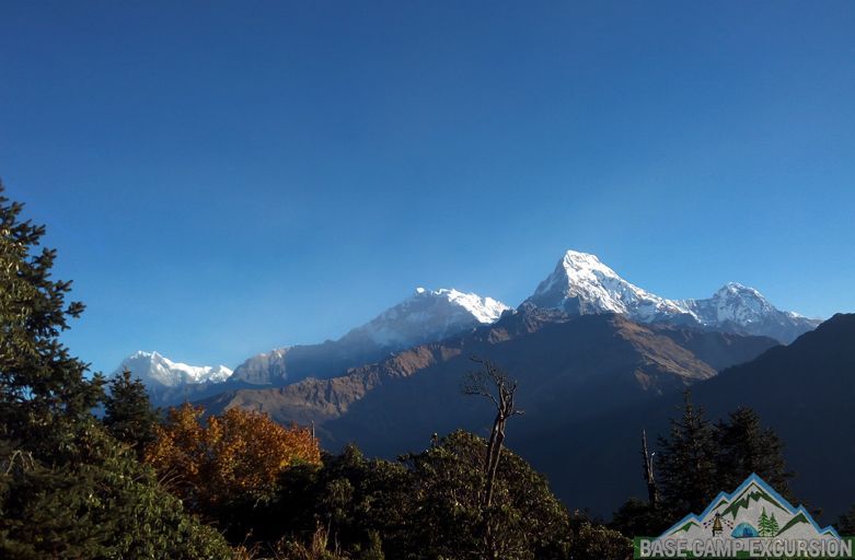 Ghorepani to Tadapani trek distance, weather, altitude of Tadapani Nepal
