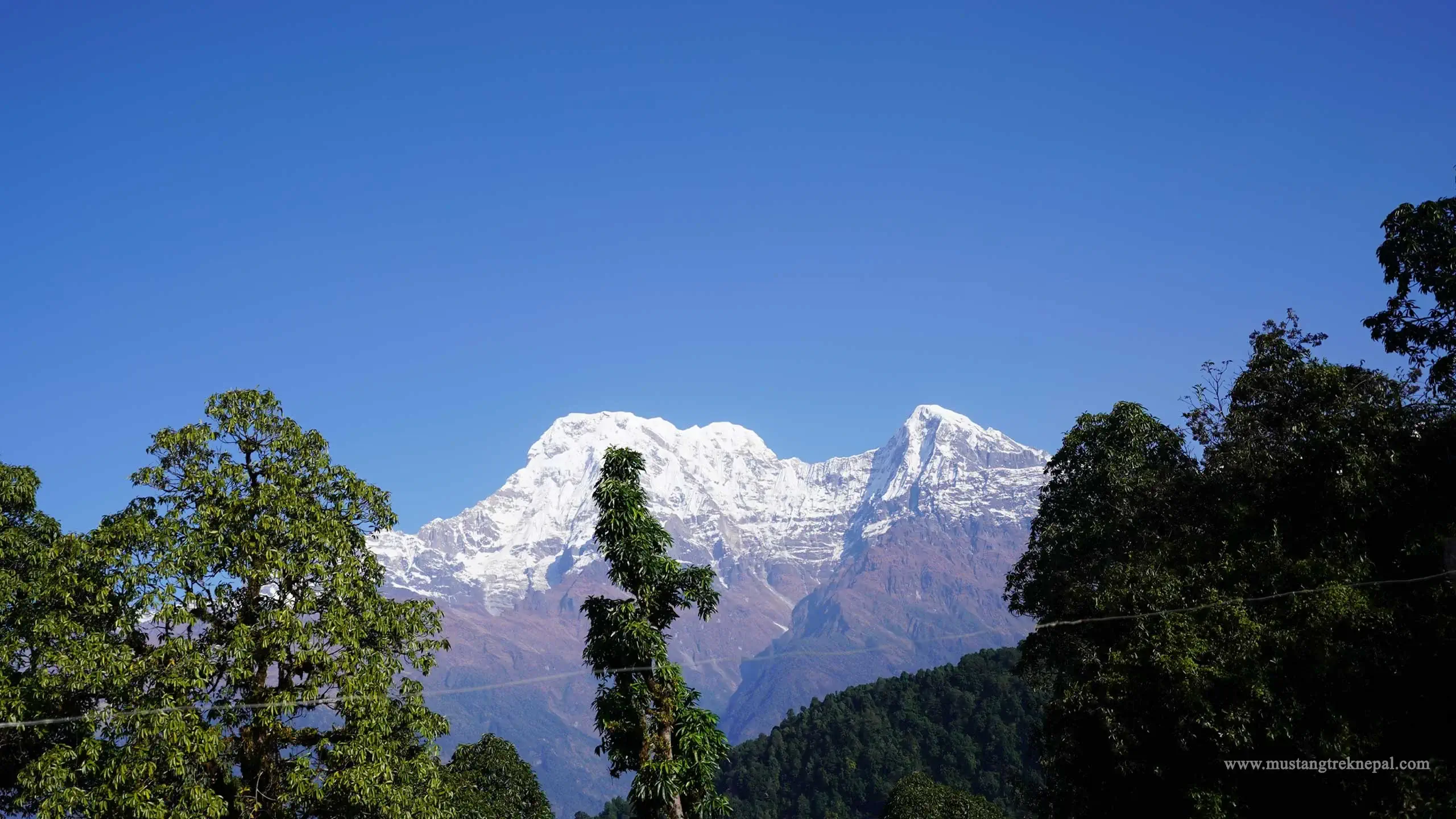 Jhinu Danda to Tolka via Landruk trek distance, elevation & route map