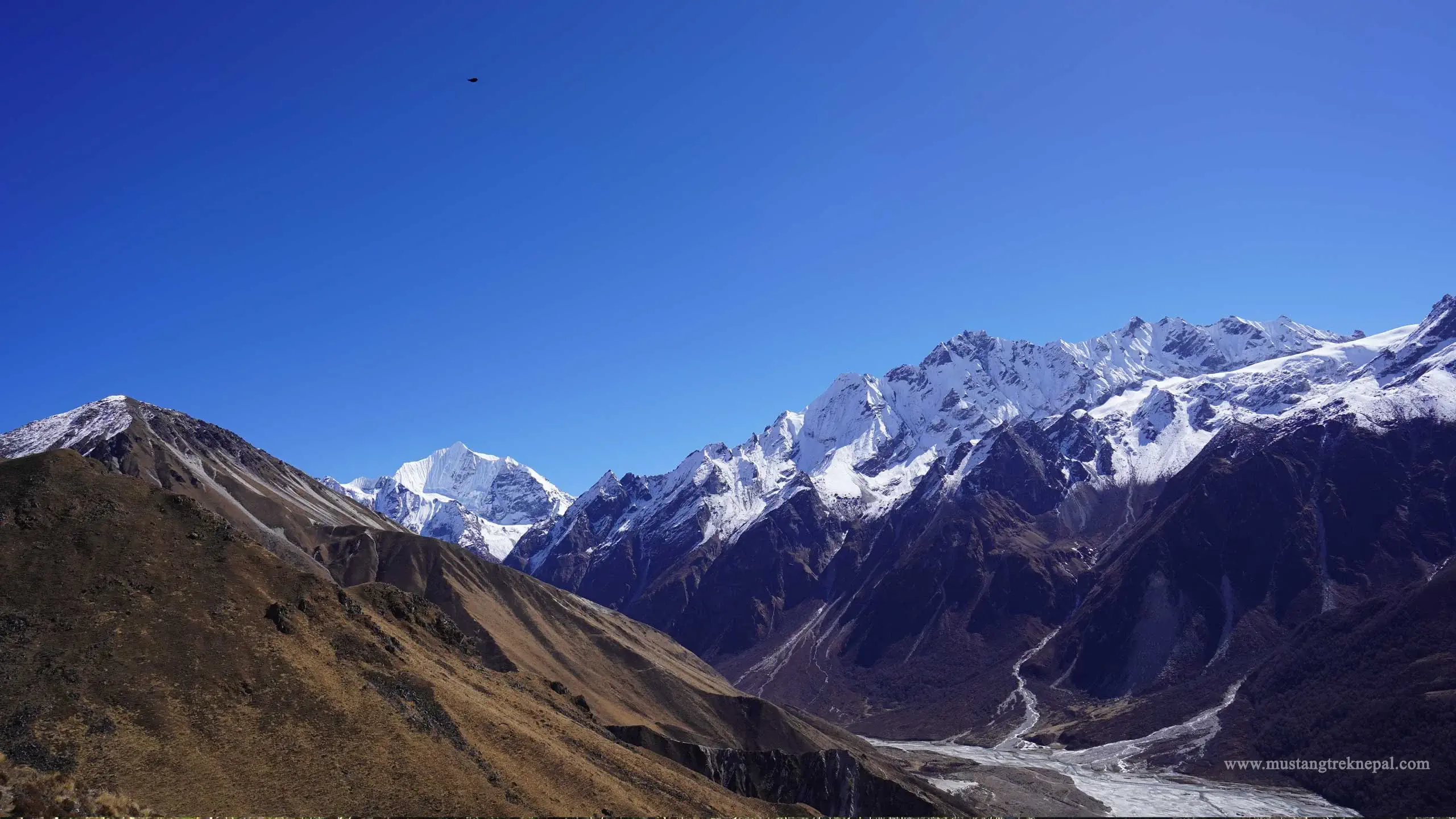 Kyanjin Gompa to Tserko ri trek distance on Langtang