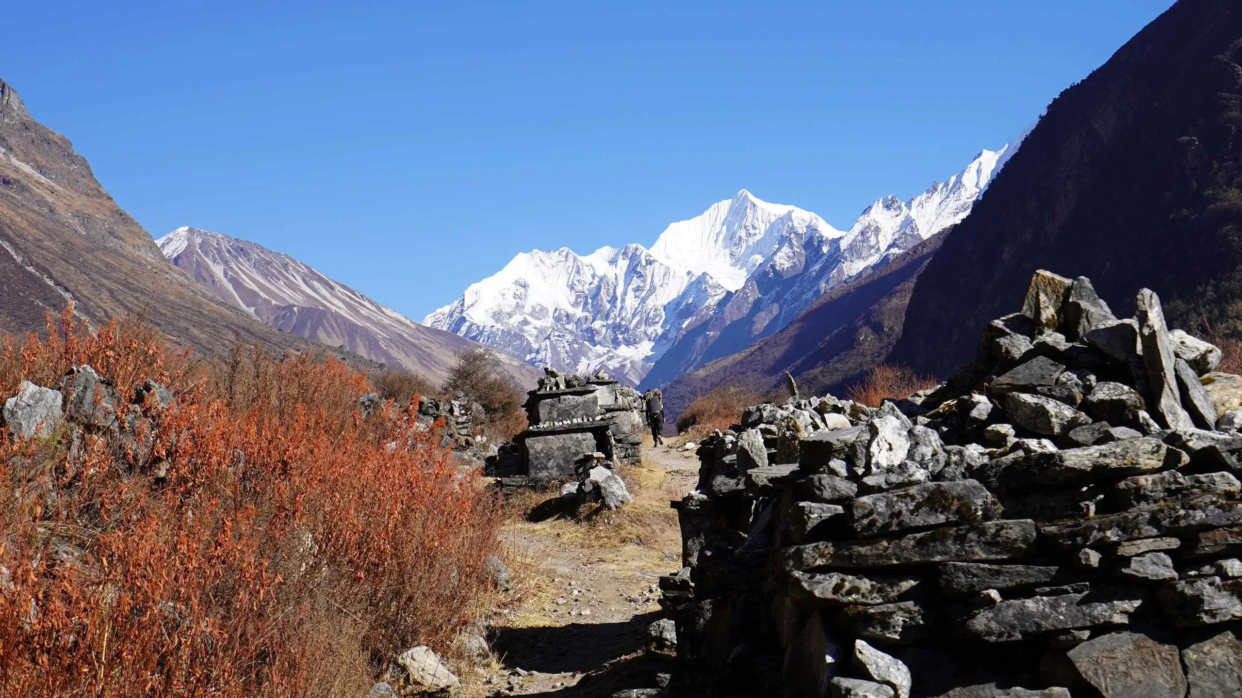 Mundu to Kyanjin Gompa trek distance of Langtang trek 7 days