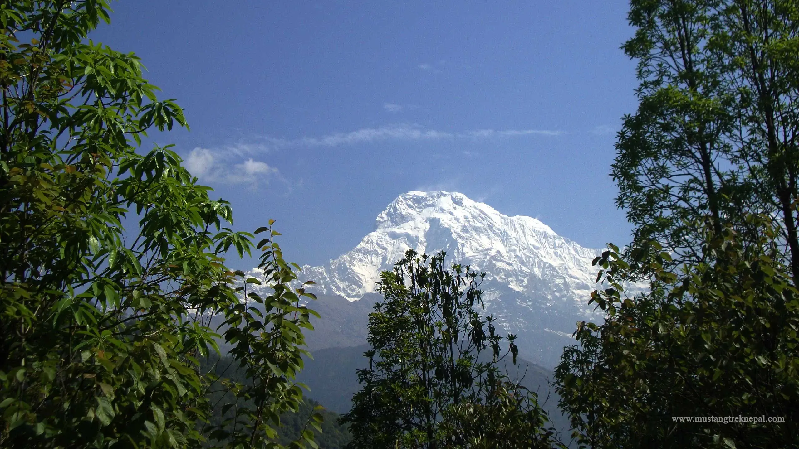 Tadapani to Ghandruk distance easy part of Ghorepani Ghandruk trek