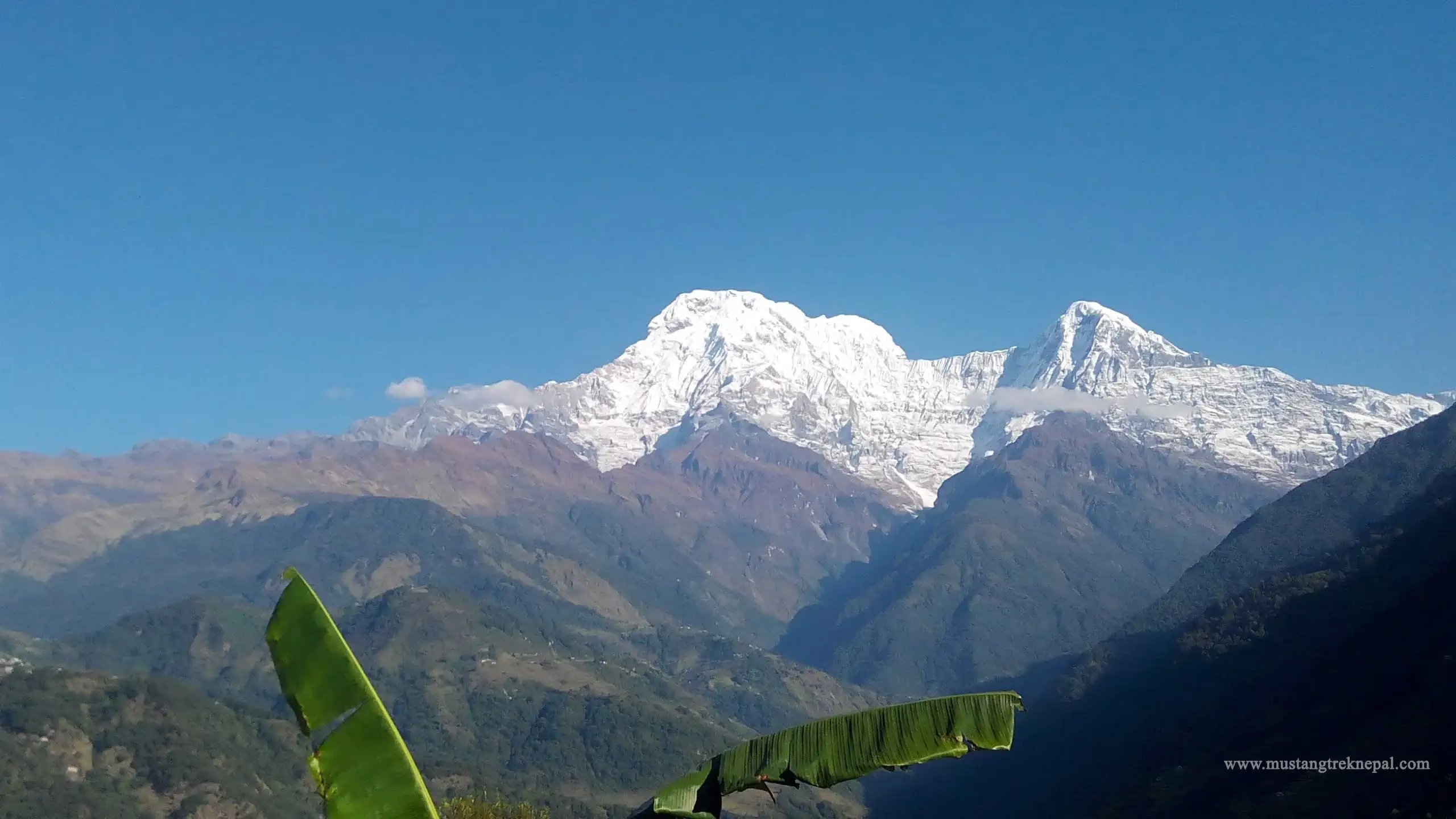 Tadapani to Landruk trek distance, altitude & map of Landruk Nepal