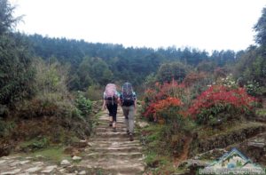 Thuman to Briddim distance of Tamang heritage with Langtang trek Nepal