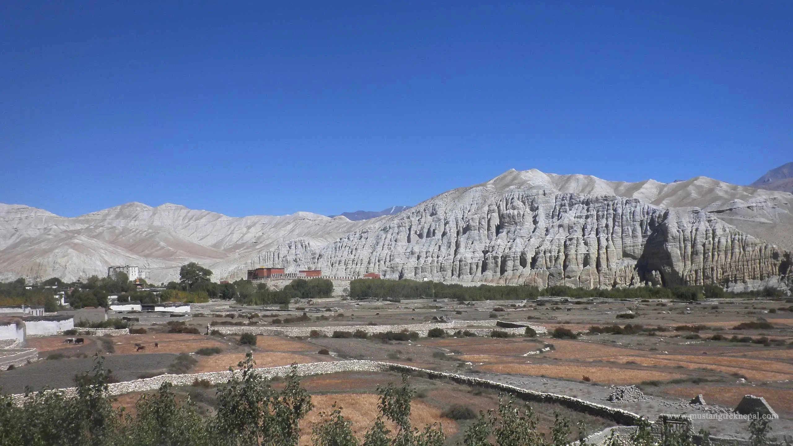 Available food & Accommodation during Upper Mustang trek