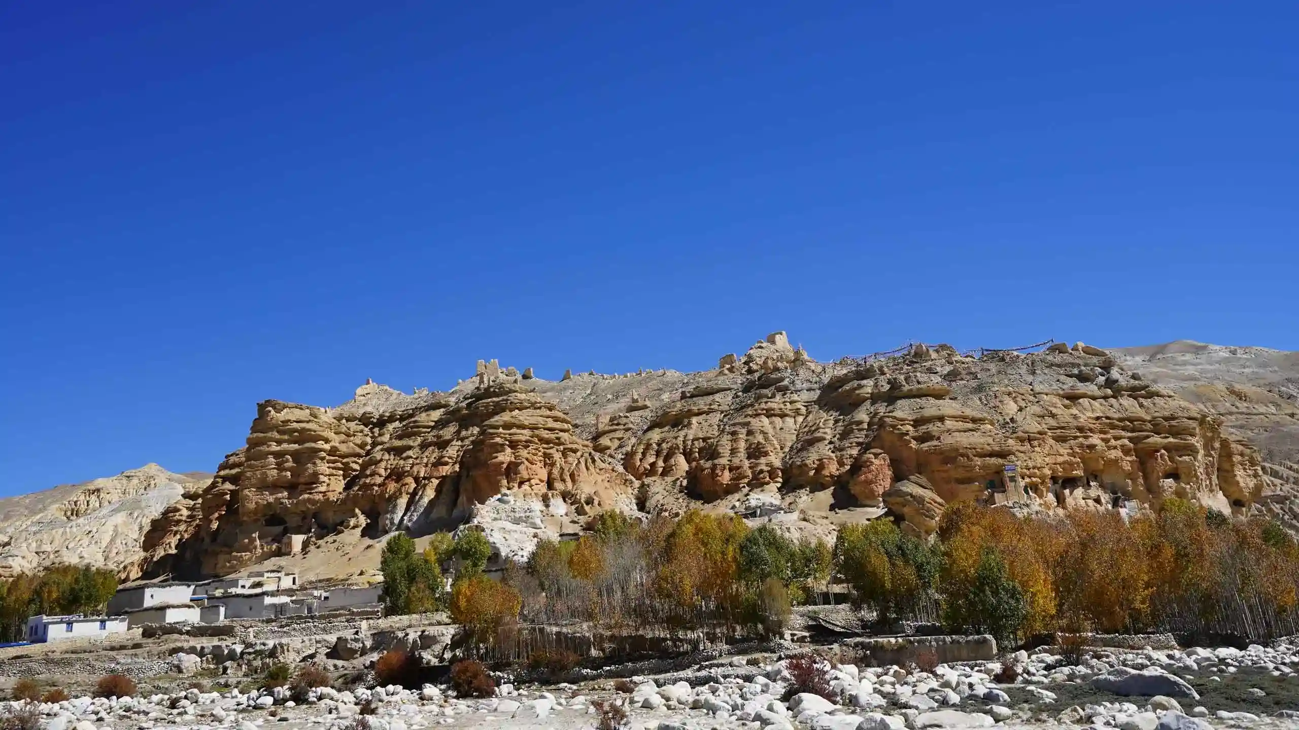 Who are the Loba of Mustang Nepal?