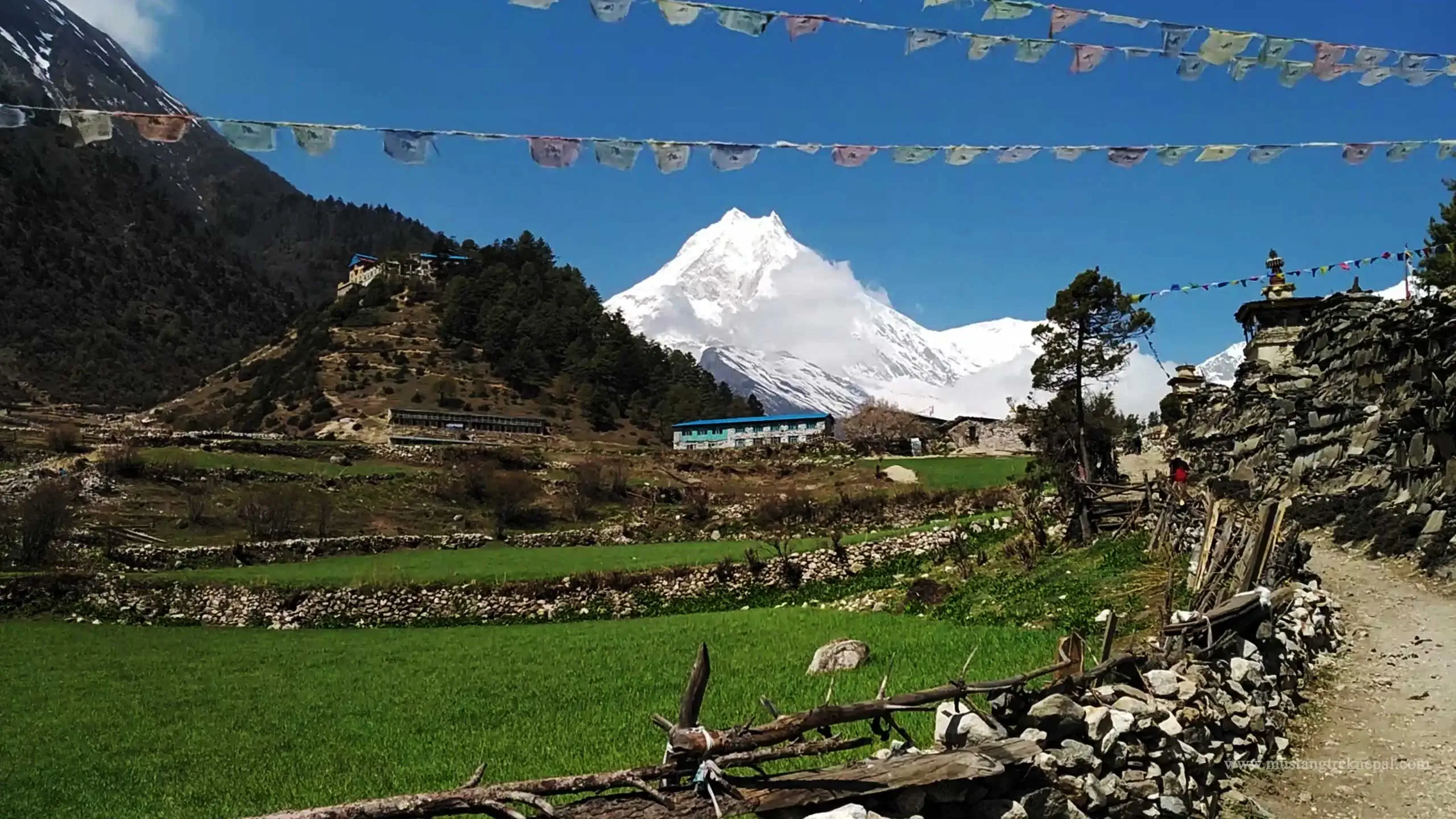 Deng to Namrung trek distance around Manaslu