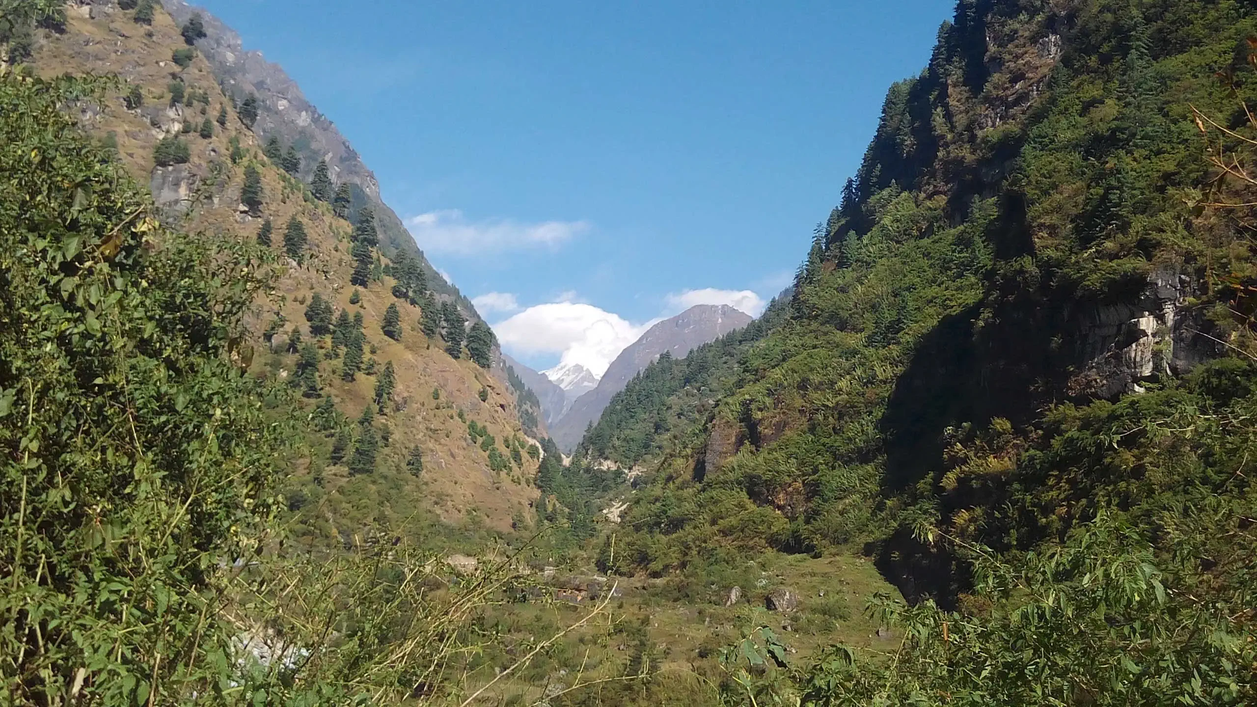 Bimthang to Tilche trek distance, elevation Manaslu trek guide