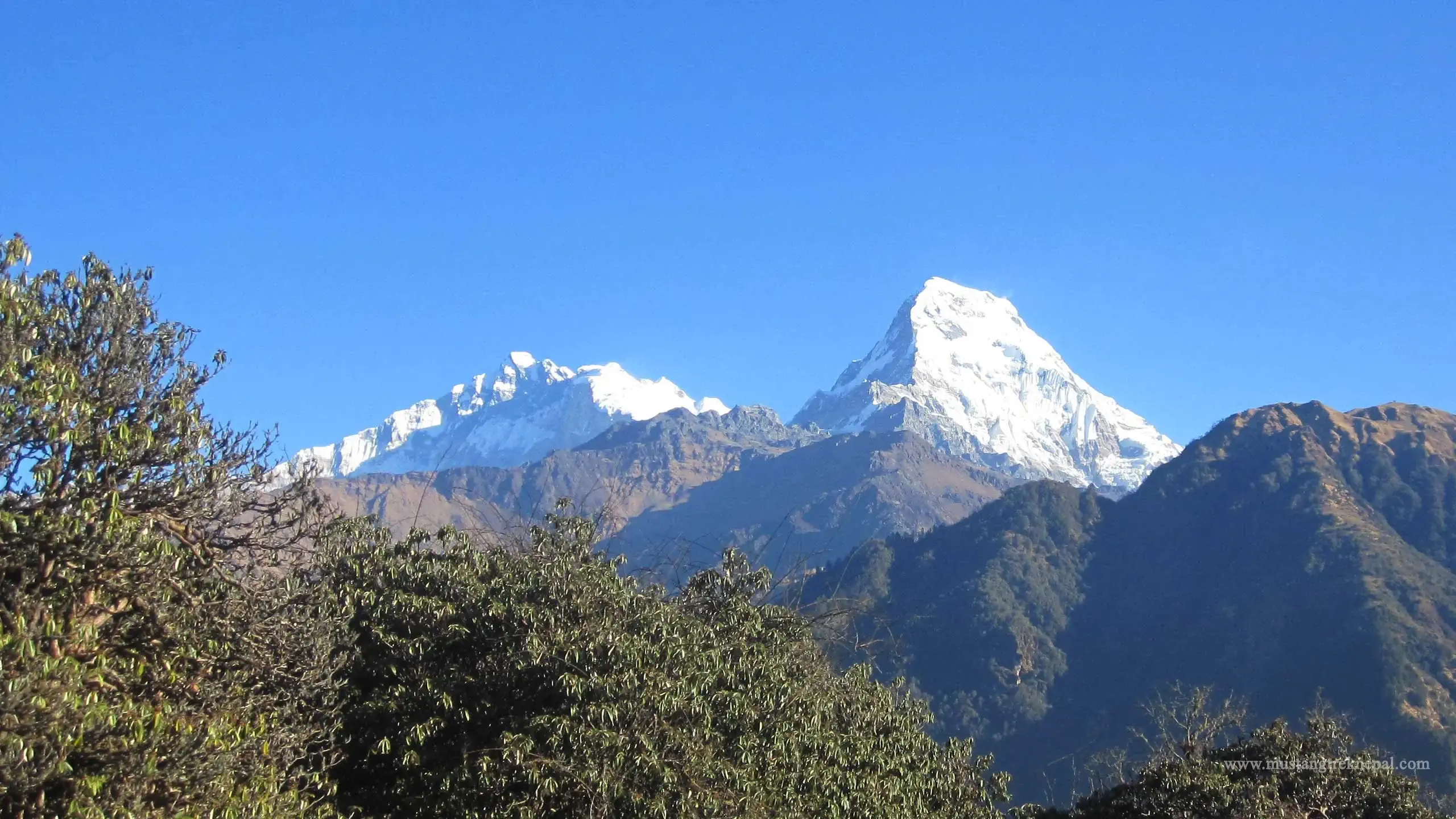Dobato to Khopra Danda distance, weather & altitude of Khopra ridge