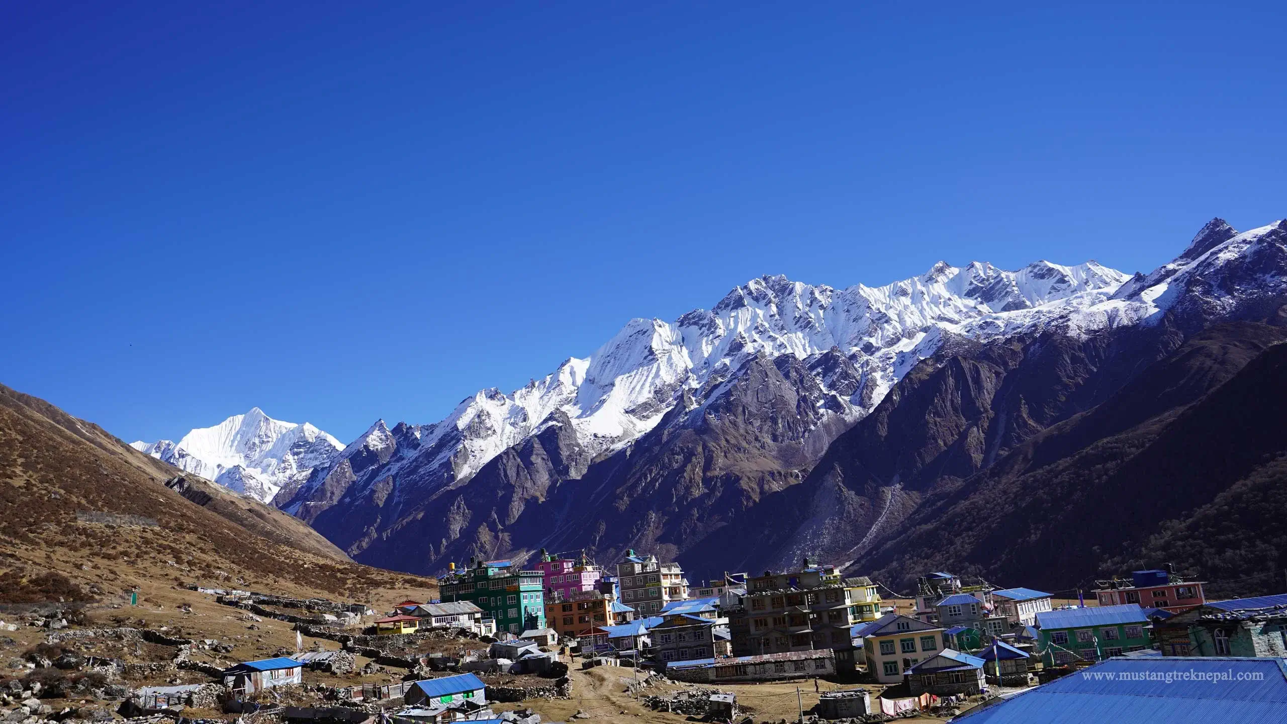 Hire a guide for Langtang valley trek | Langtang trekking guide