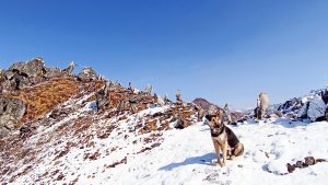 Mount Makalu base camp tea house trek in Nepal