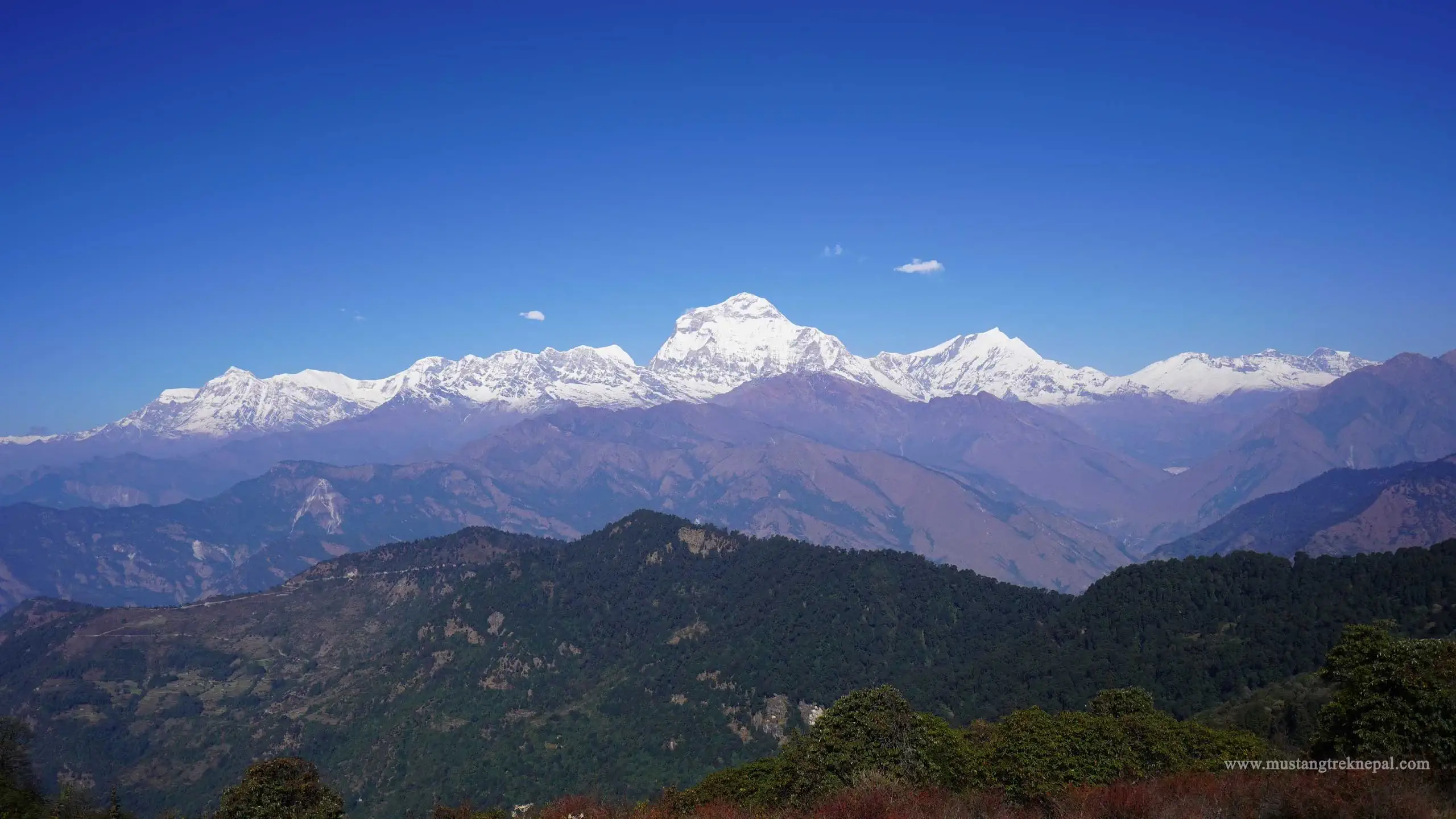 Kathmandu Chitwan Pokhara Lumbini tour trip to Nepal