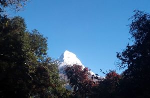 Tadapani to Dobato trek distance & elevation of Khayer Lake trek Nepal