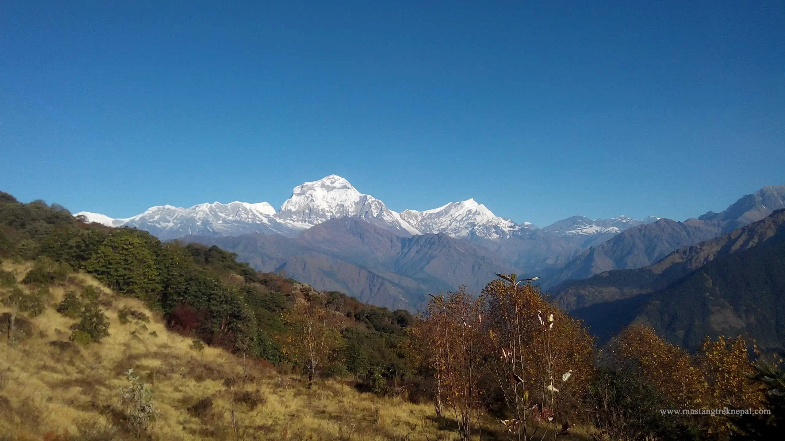 Easy Poon hill trek 4 days