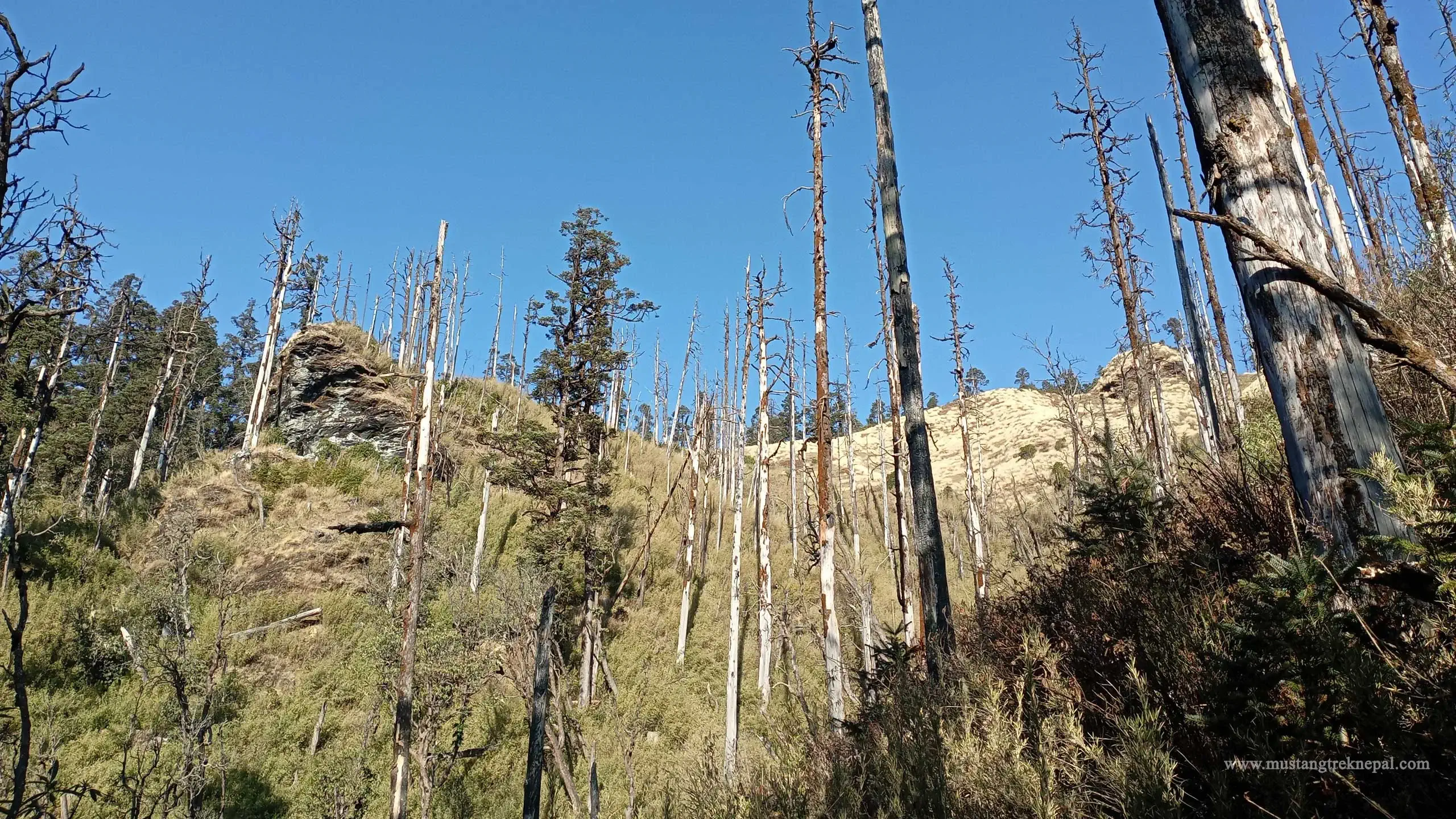 Phoksundo lake trek photo