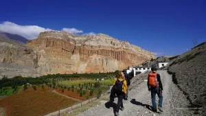 Upper mustang tea house trek details