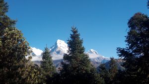 Annapurna region Ghorepani poon hill yoga trek Nepal