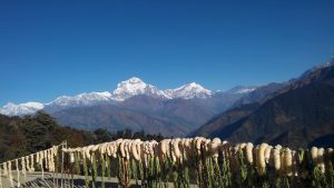  Ghorepani poon hill yoga trek Nepal