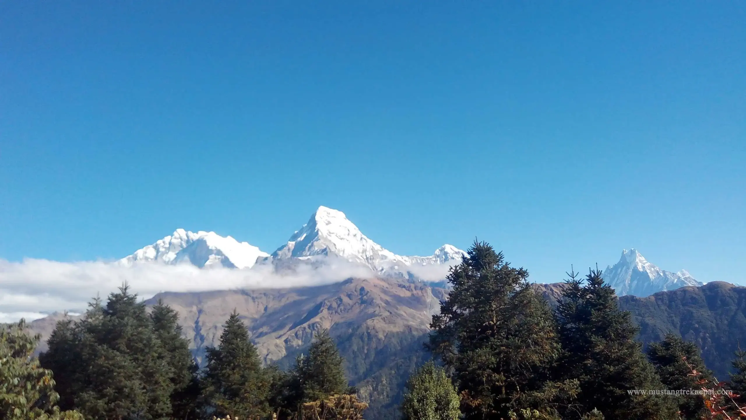Annapurna yoga trek picture a short yoga trip in Nepal