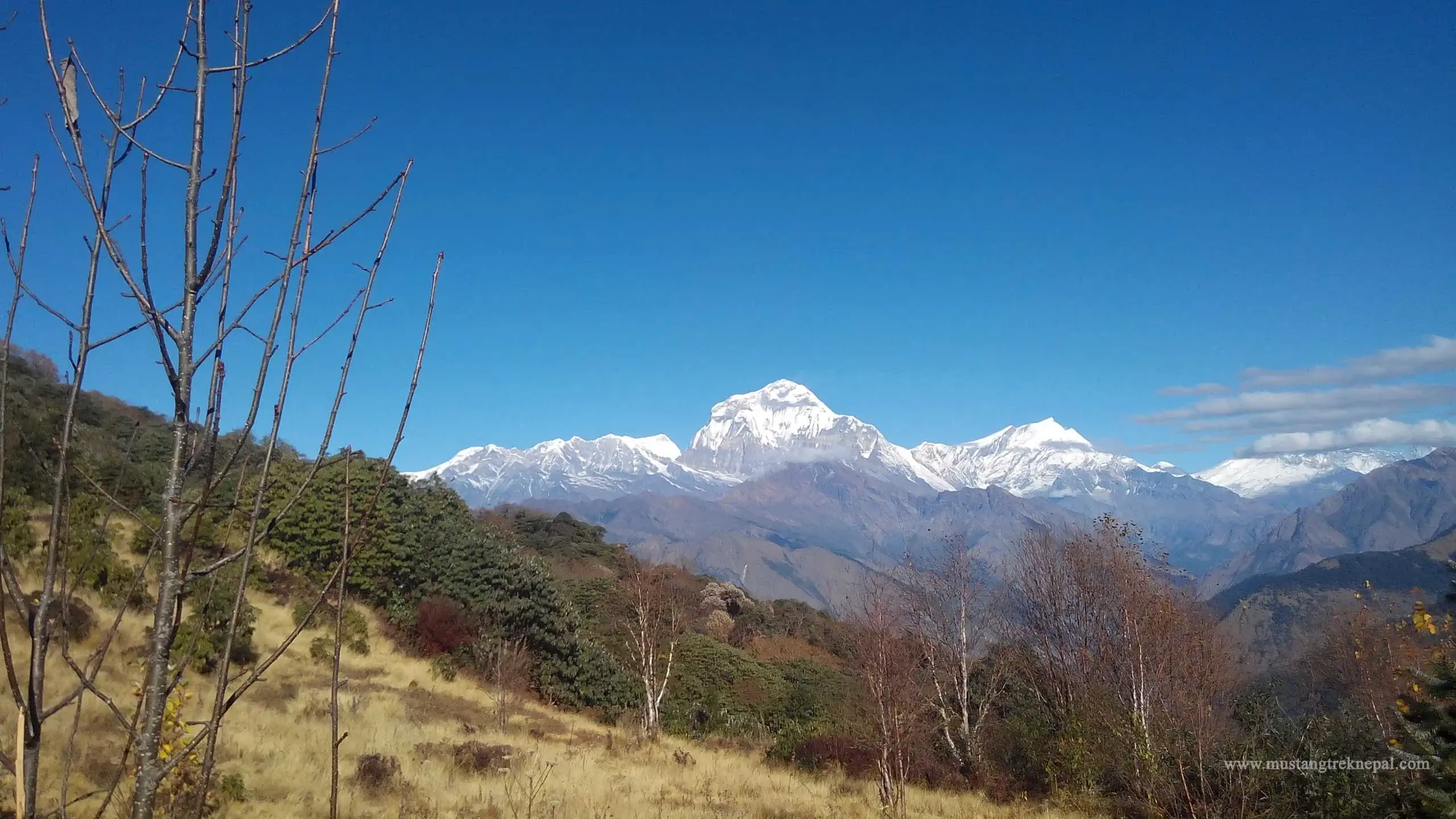 Photo of poon hill yoga trek in Nepal