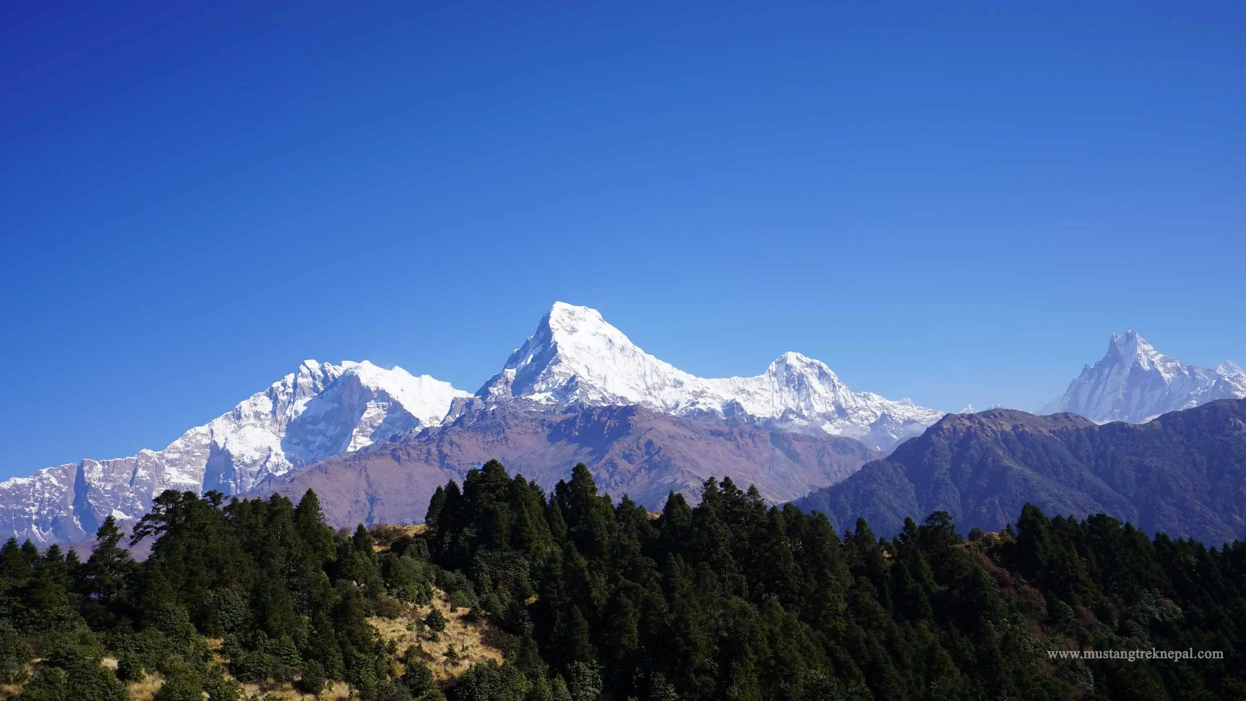 Ghorepani poon hill tour package Nepal