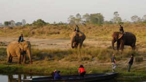 Chitwan National Park Safari in Nepal