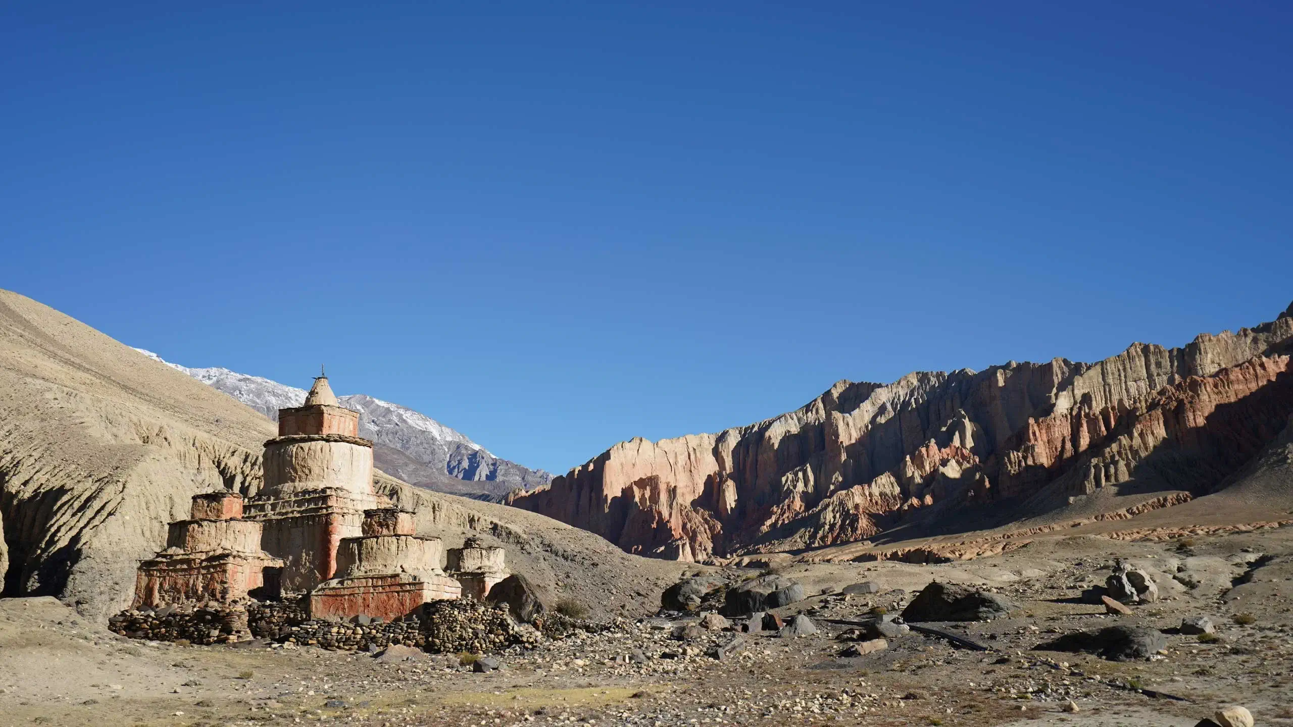 Mustang trekking Picture