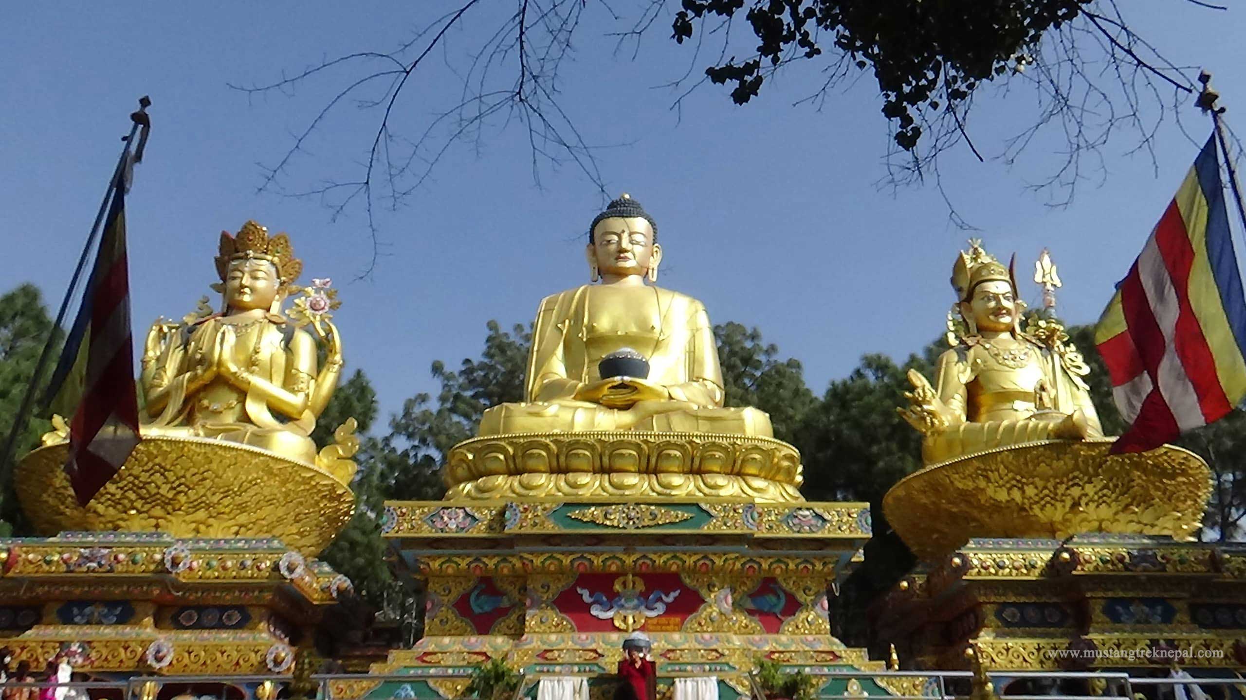 Kathmandu Chitwan Pokhara tour the best trip to Nepal