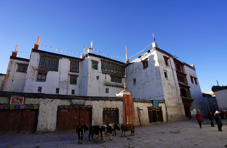 Image of Royal palace in Lo Manthang Nepal